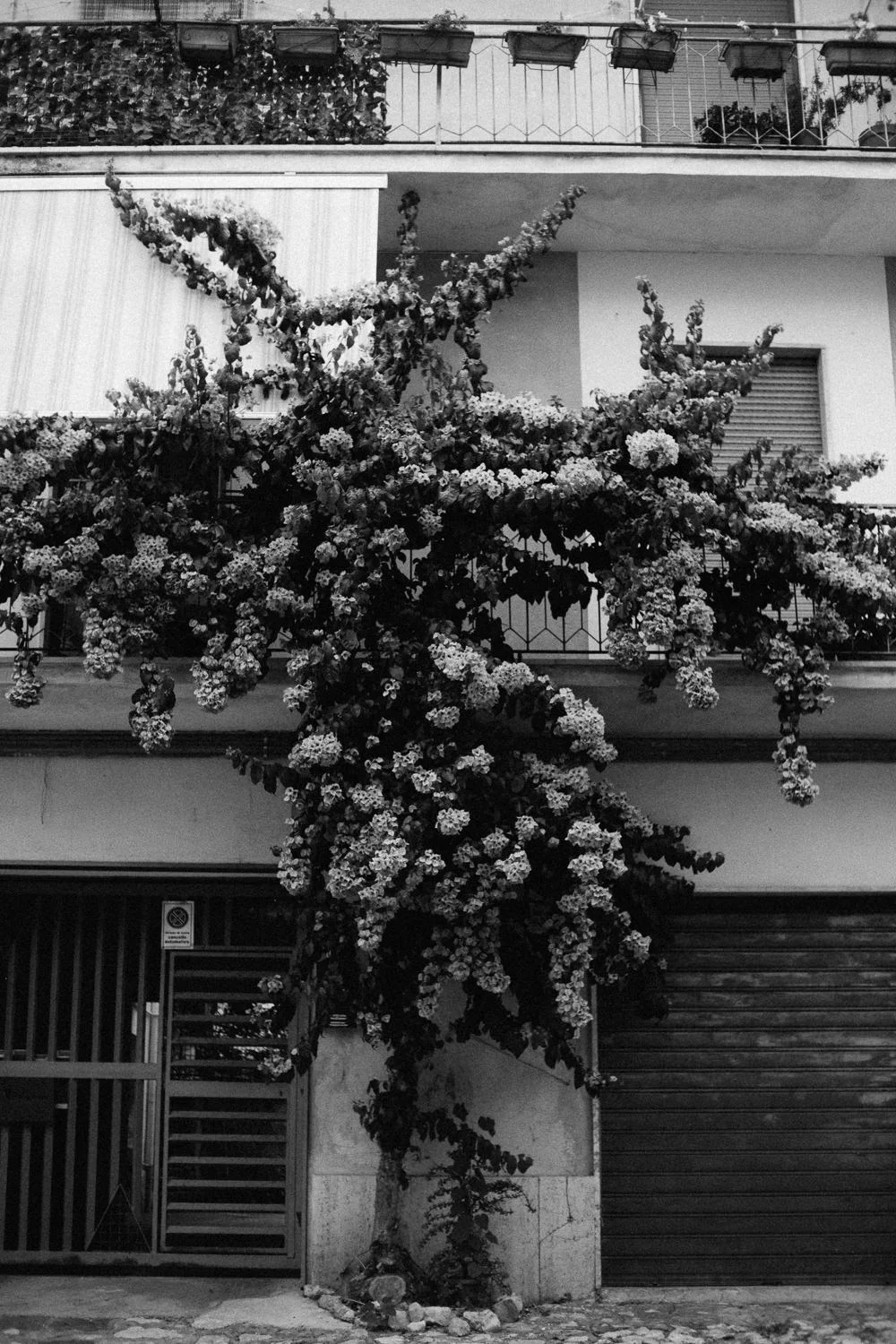 9.2018_Italy_0059.jpg