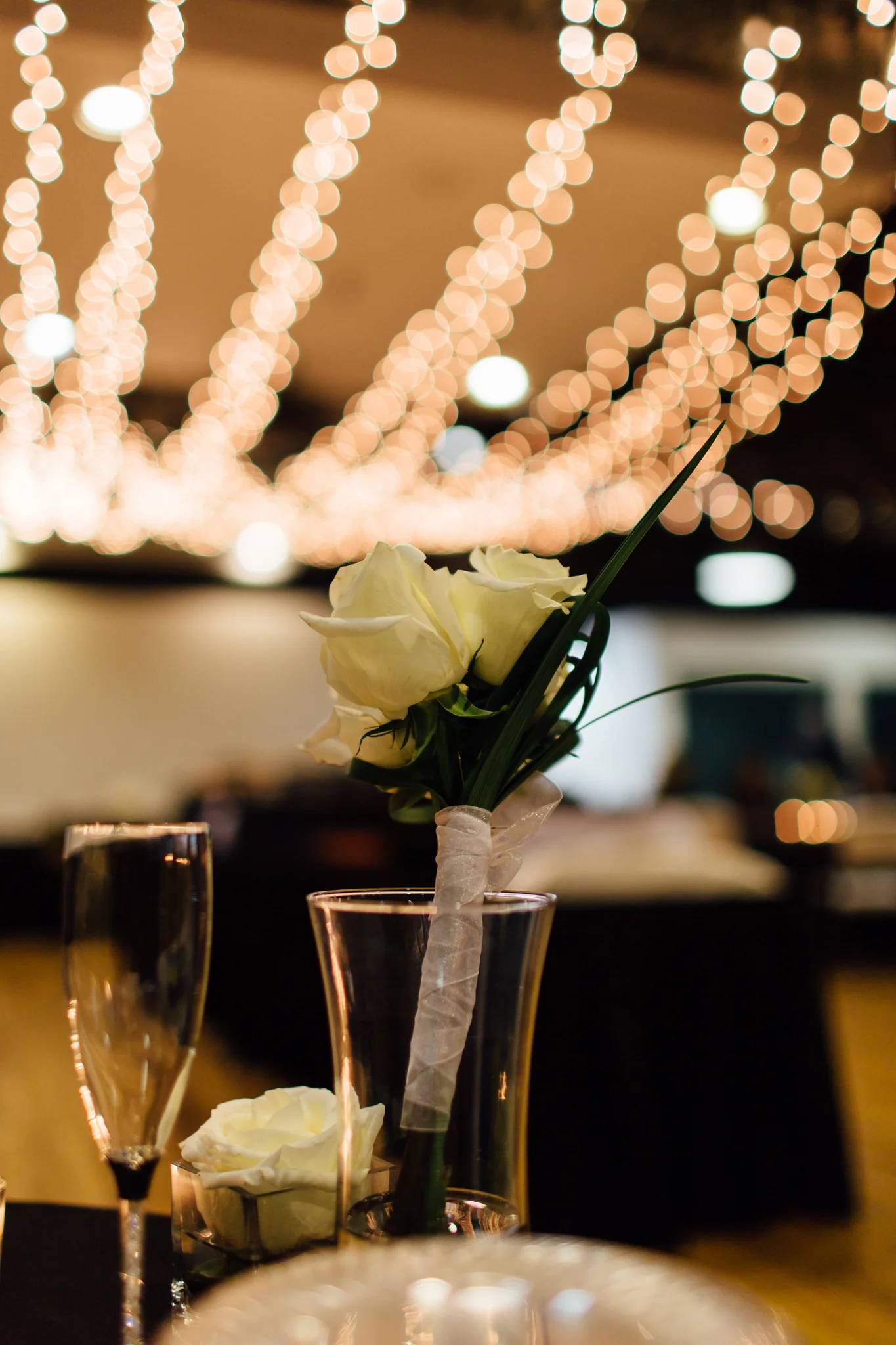 Cecilia+Drew (96 of 98).jpg