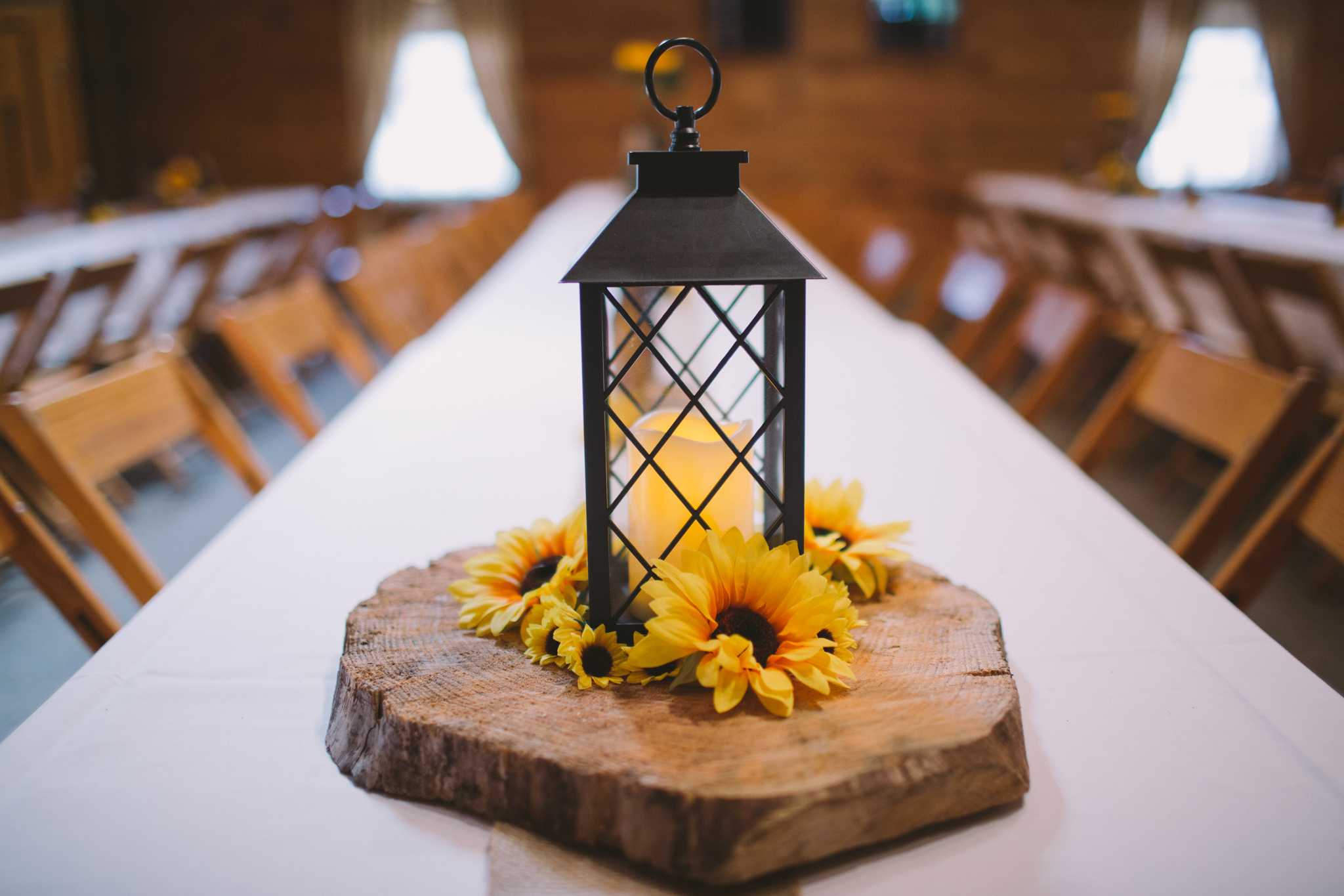 Elisabeth+Todd (2014-07-05)-Neal Dieker Photography-04.jpg