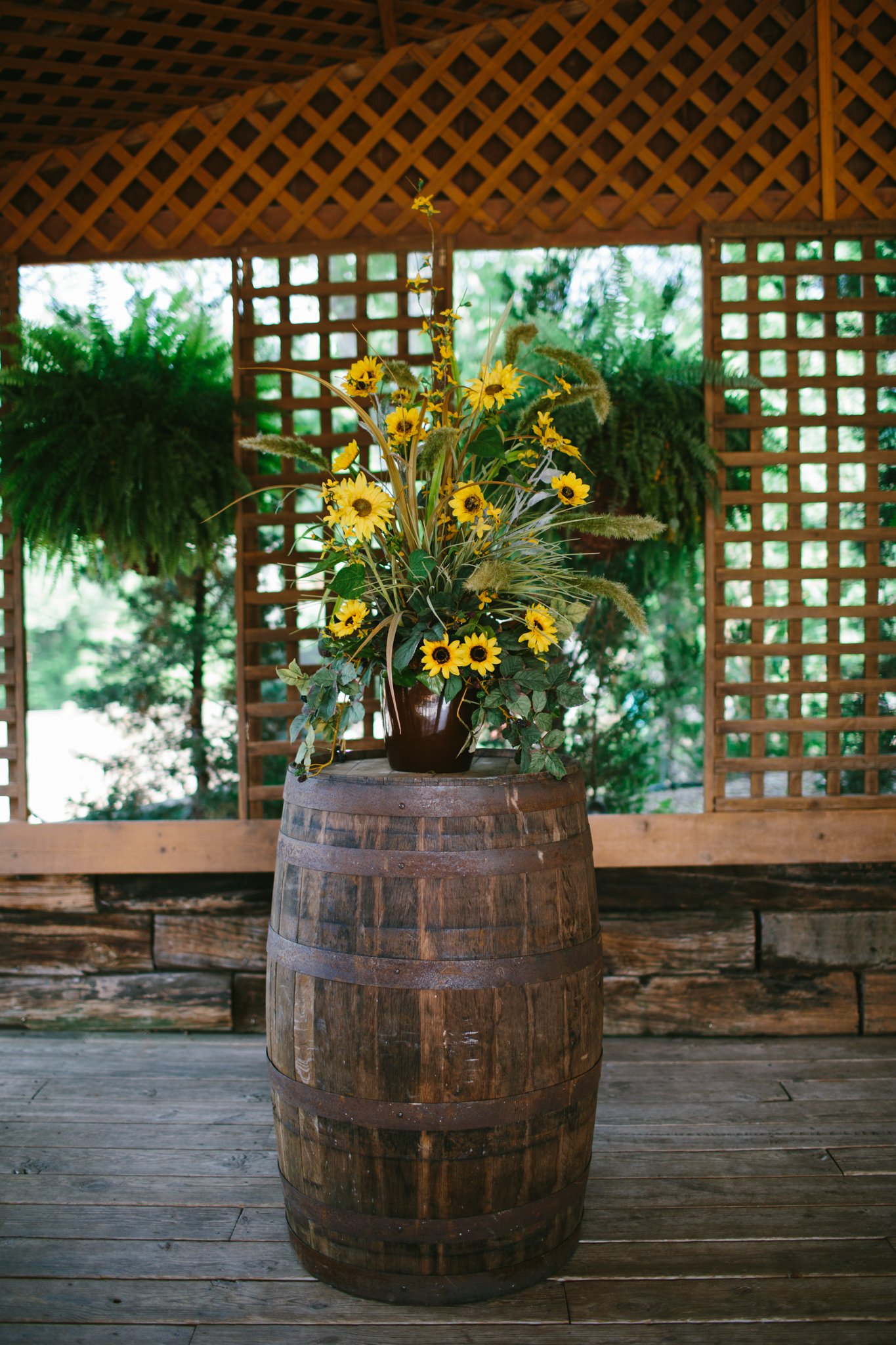 Elisabeth+Todd (2014-07-05)-Neal Dieker Photography-39.jpg
