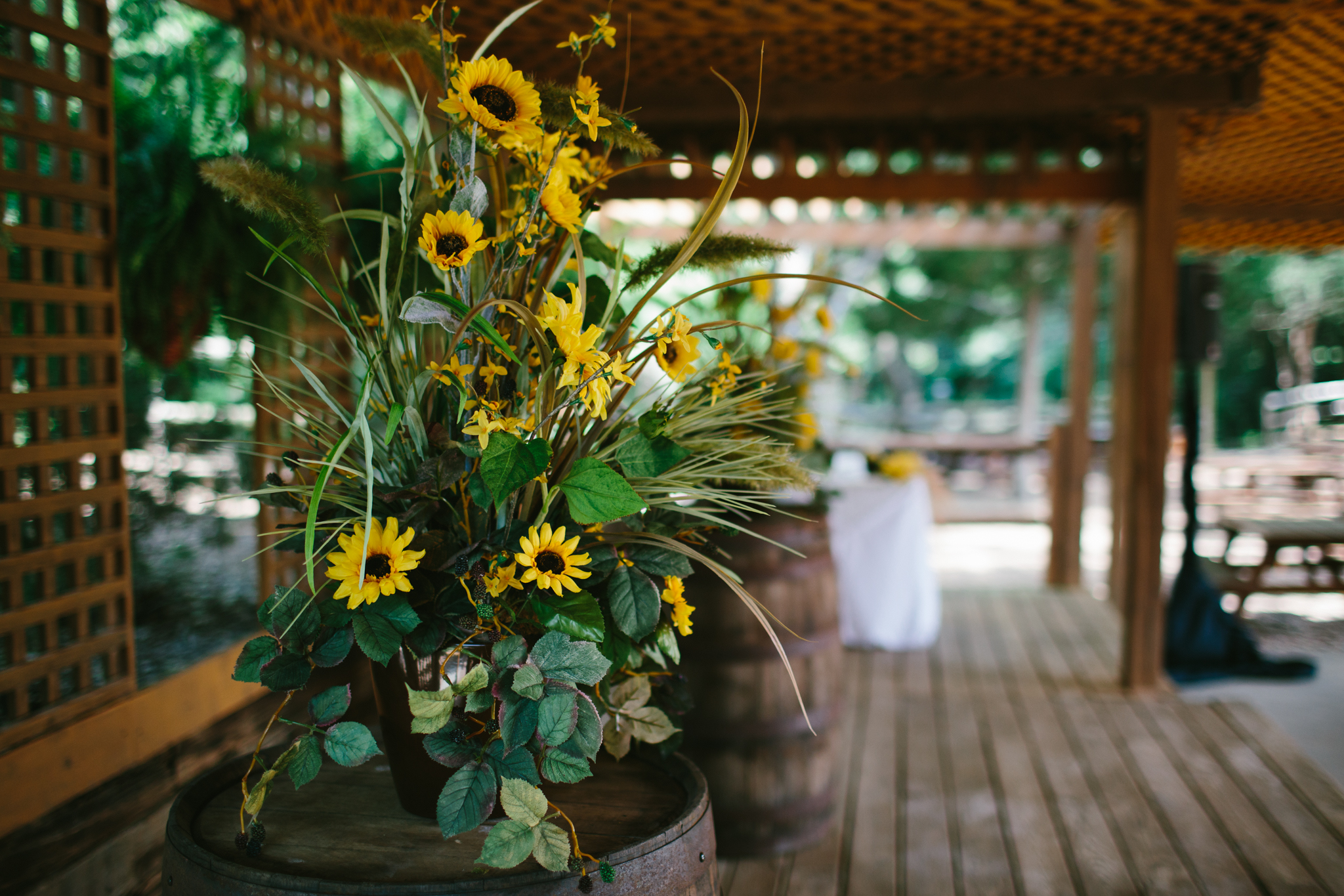 Elisabeth+Todd (2014-07-05)-Neal Dieker Photography-40.jpg