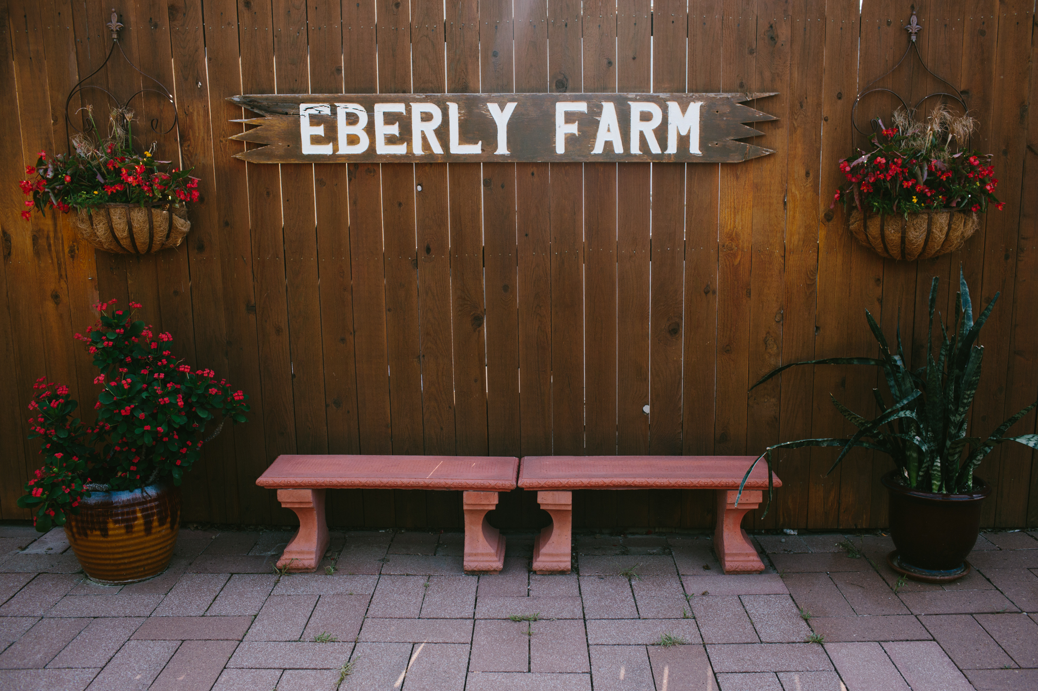Elisabeth+Todd (2014-07-05)-Neal Dieker Photography-44.jpg