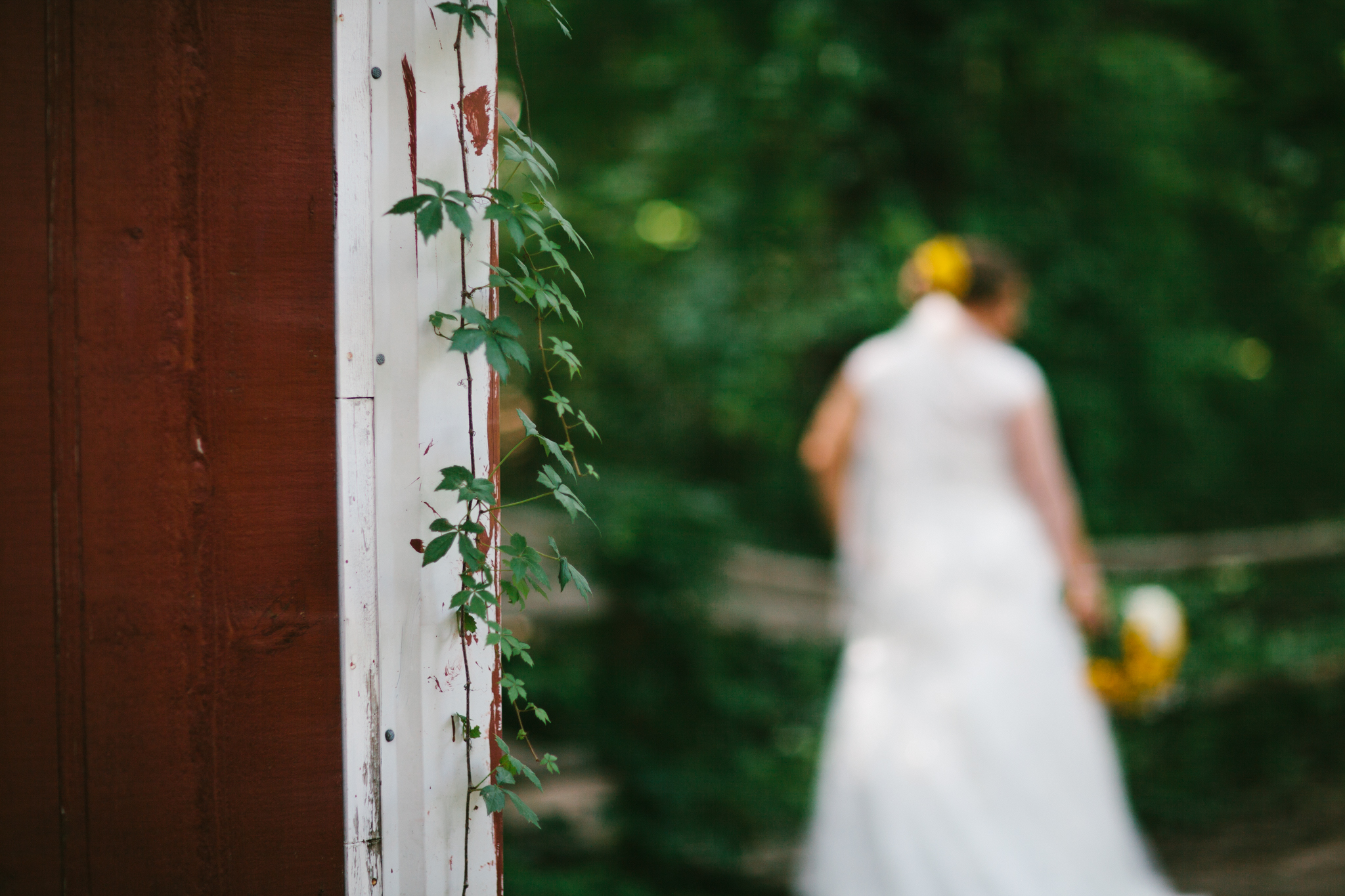 Elisabeth+Todd (2014-07-05)-Neal Dieker Photography-62.jpg