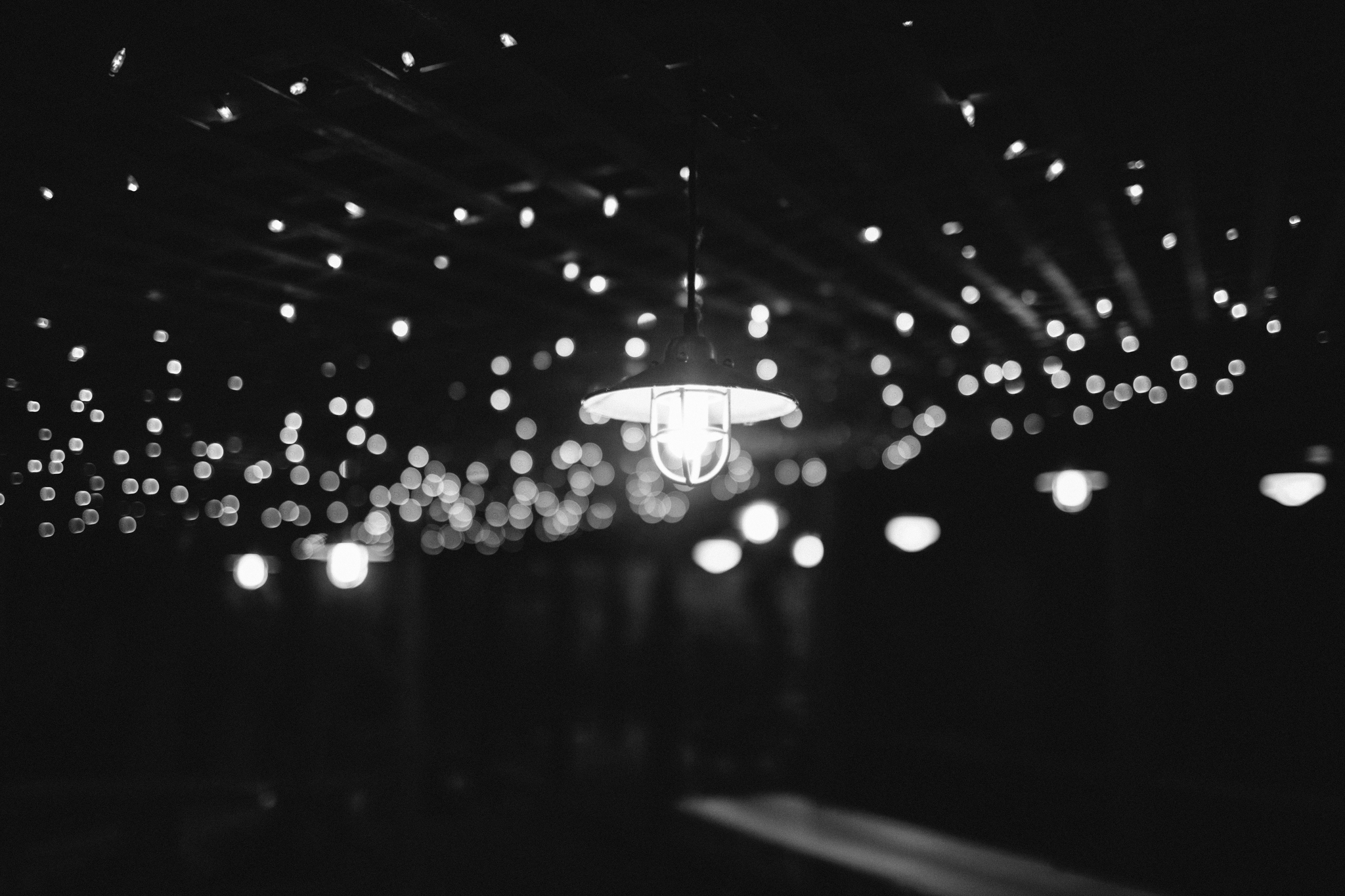 Elisabeth+Todd (2014-07-05)-Neal Dieker Photography-152.jpg