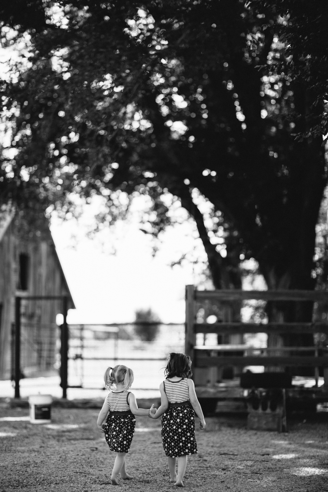 Messer 4th of July - Neal Dieker Photography-16.jpg