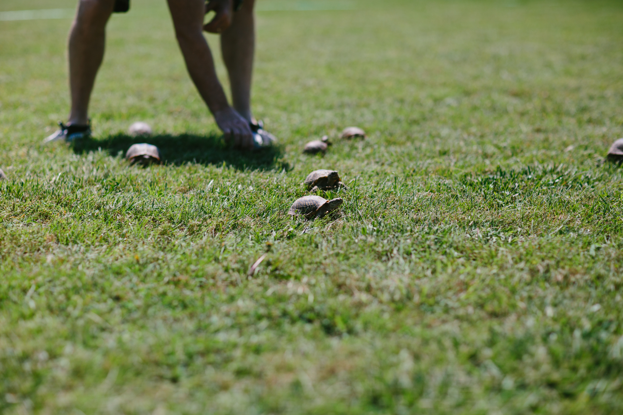 Messer 4th of July - Neal Dieker Photography-50.jpg