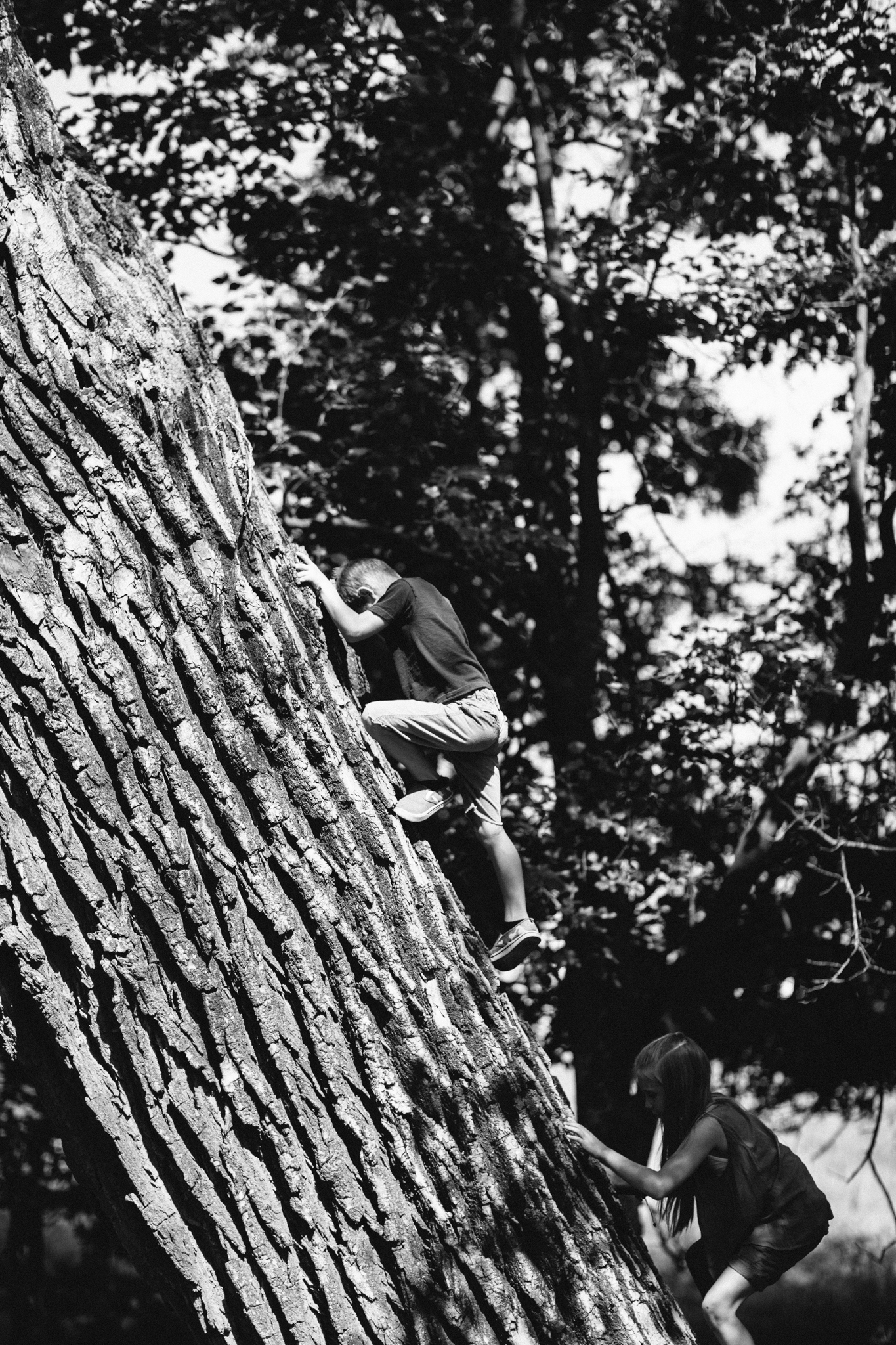 Cartmill's - Neal Dieker Photography - 2014-07-26-40.jpg