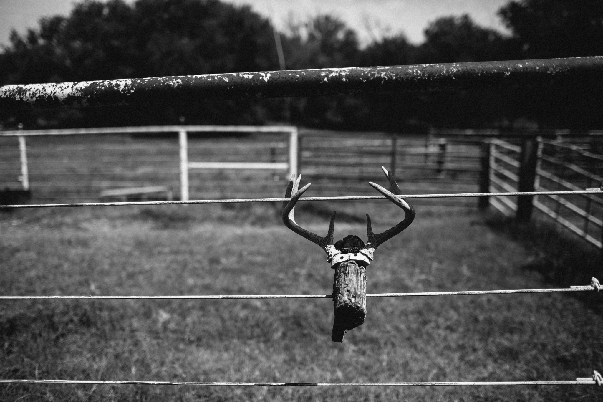 Cartmill's - Neal Dieker Photography - 2014-07-26-81.jpg