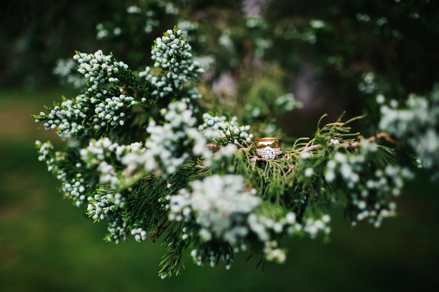 Wichita, Kansas-Wedding Photographer-132.jpg