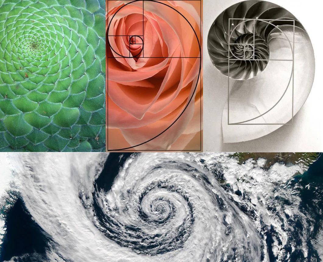 golden-spirals.jpg