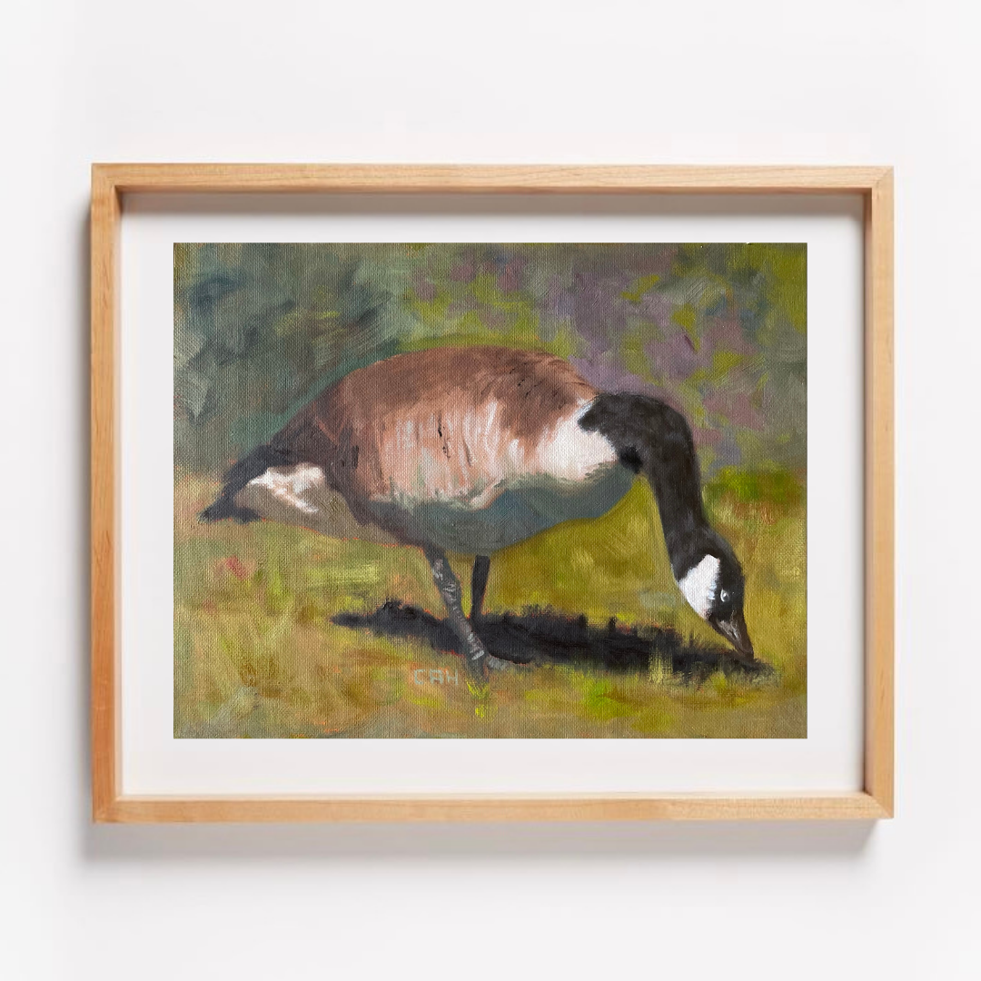 63C312FD-85CB-4EFE-AE5E-12BCBC7246B5