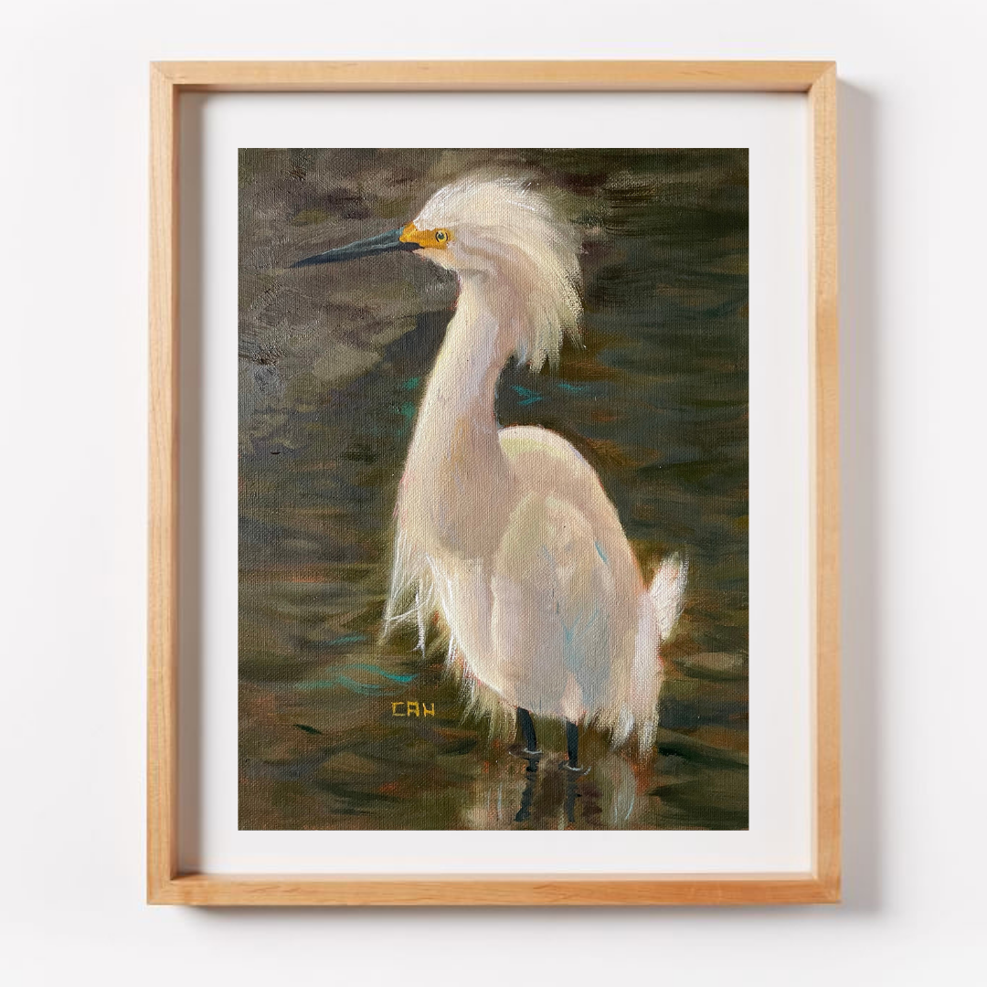 C35909D8-BD3C-4942-9E9E-C1579D977472