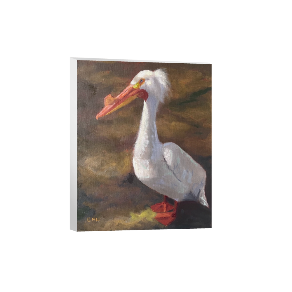 Hank the Pelican — Chris Hendrix Art