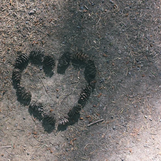 Left some love for other hikers.