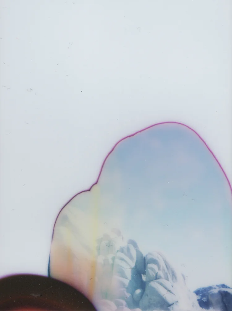 j-tree-instax-3.jpg
