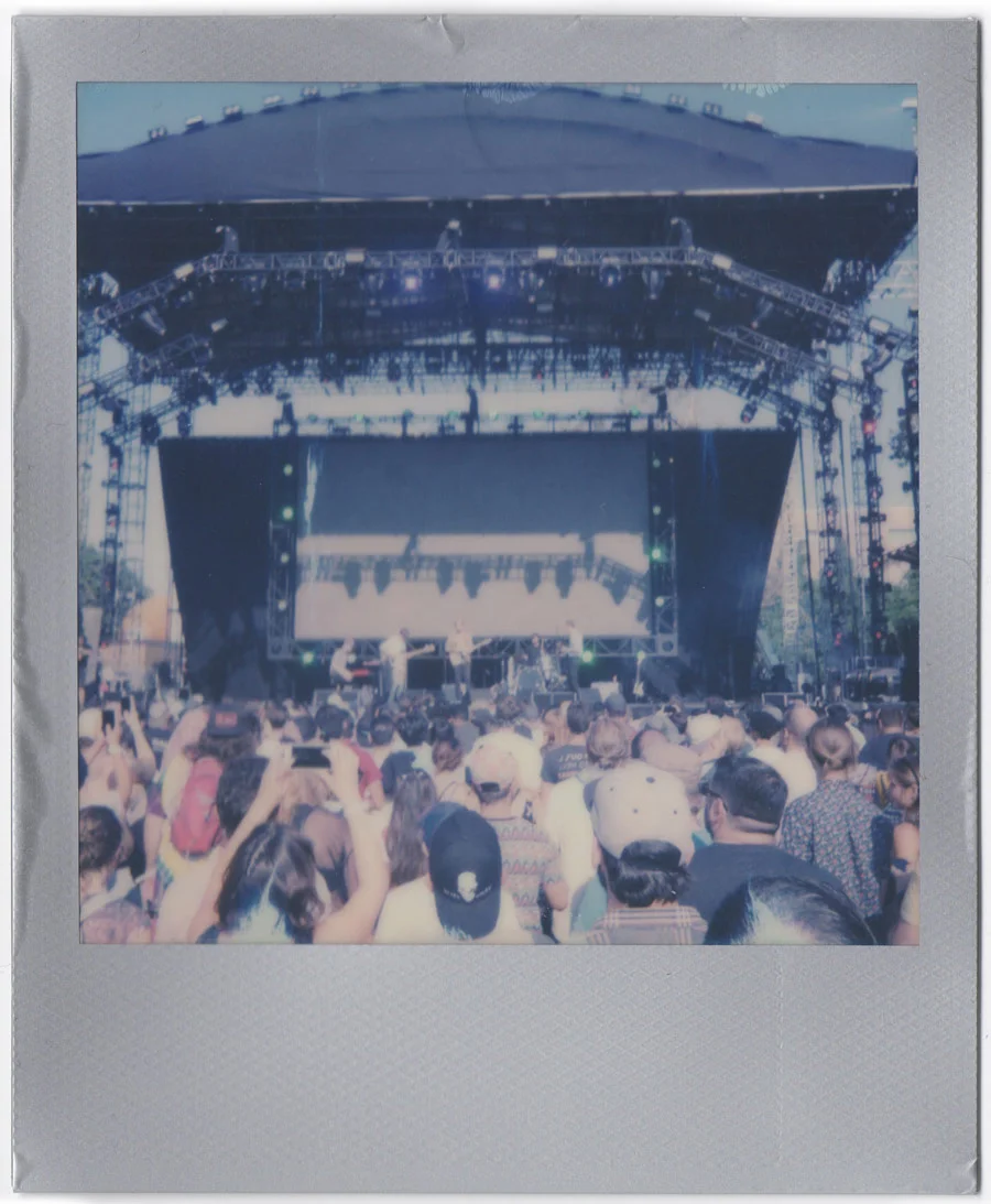 Wild Nothing
