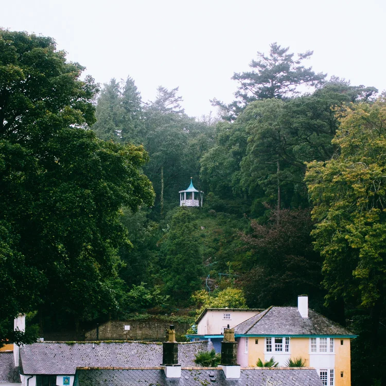 The lookout