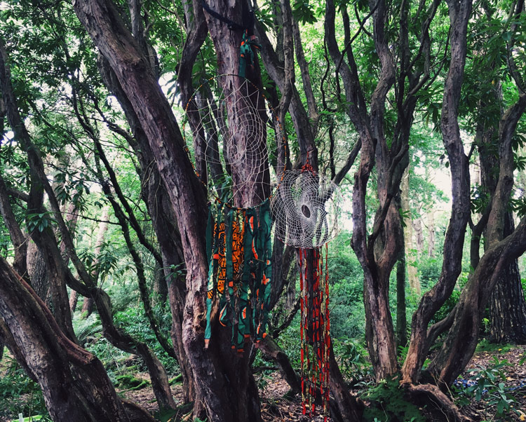 Dreamcatchers in the woods
