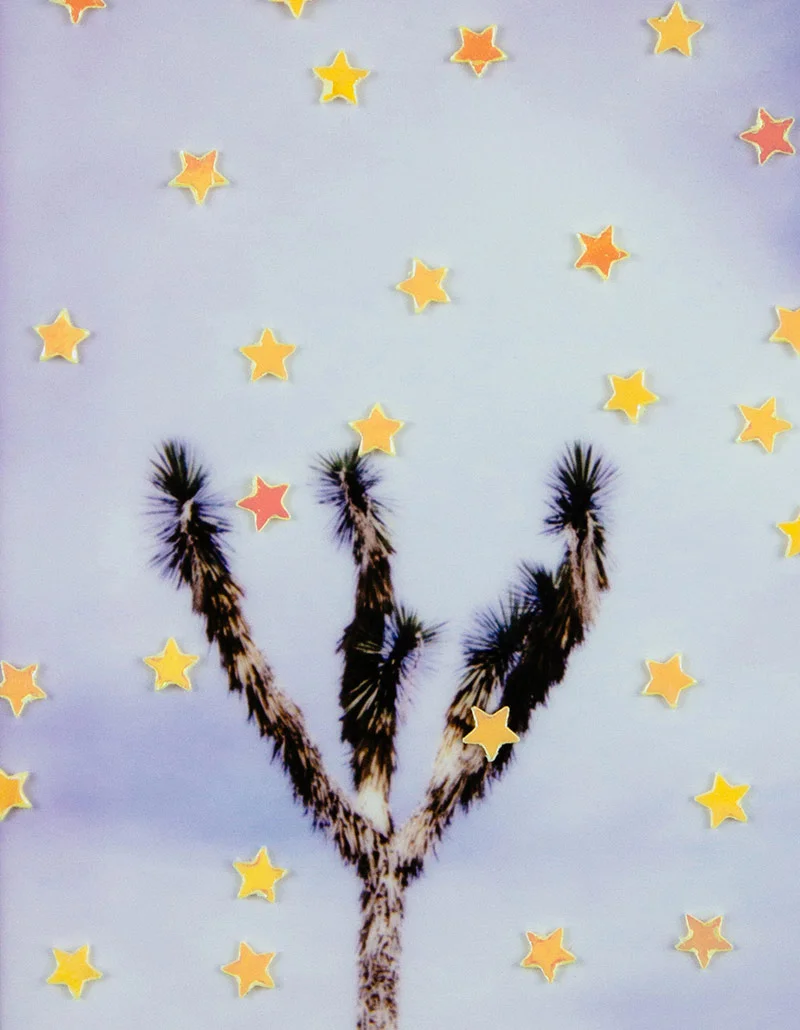 Desert Stars