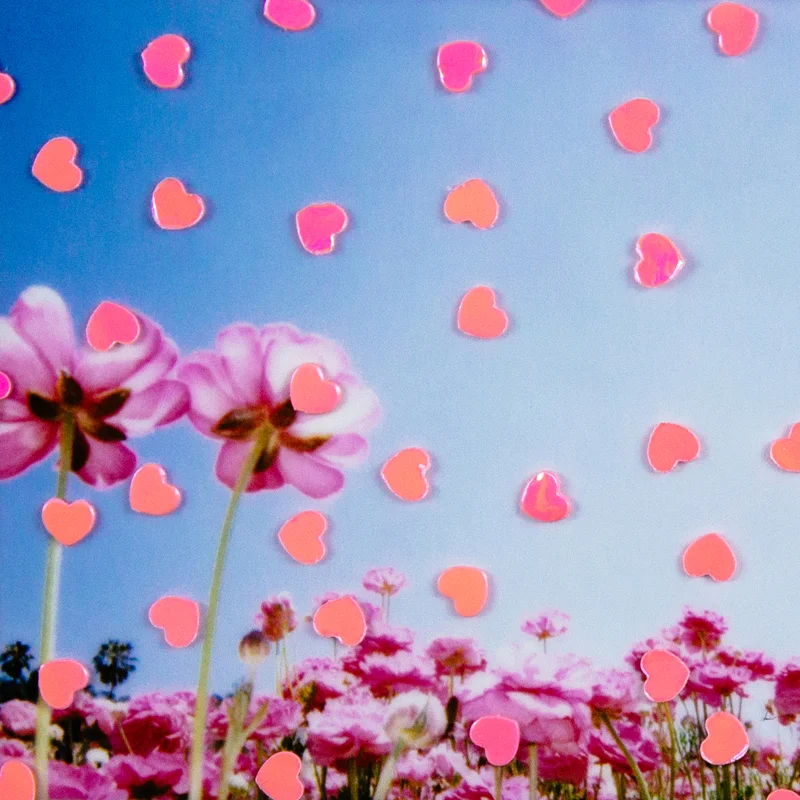 Love Is In the Air
