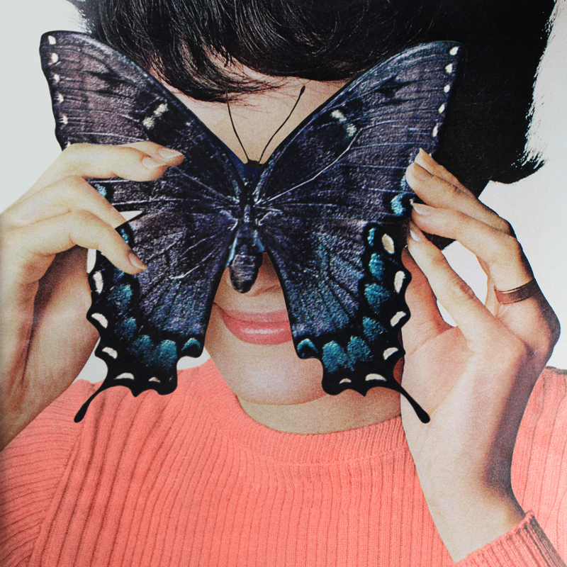 Collage-2-Morpho-Butterfly.jpg