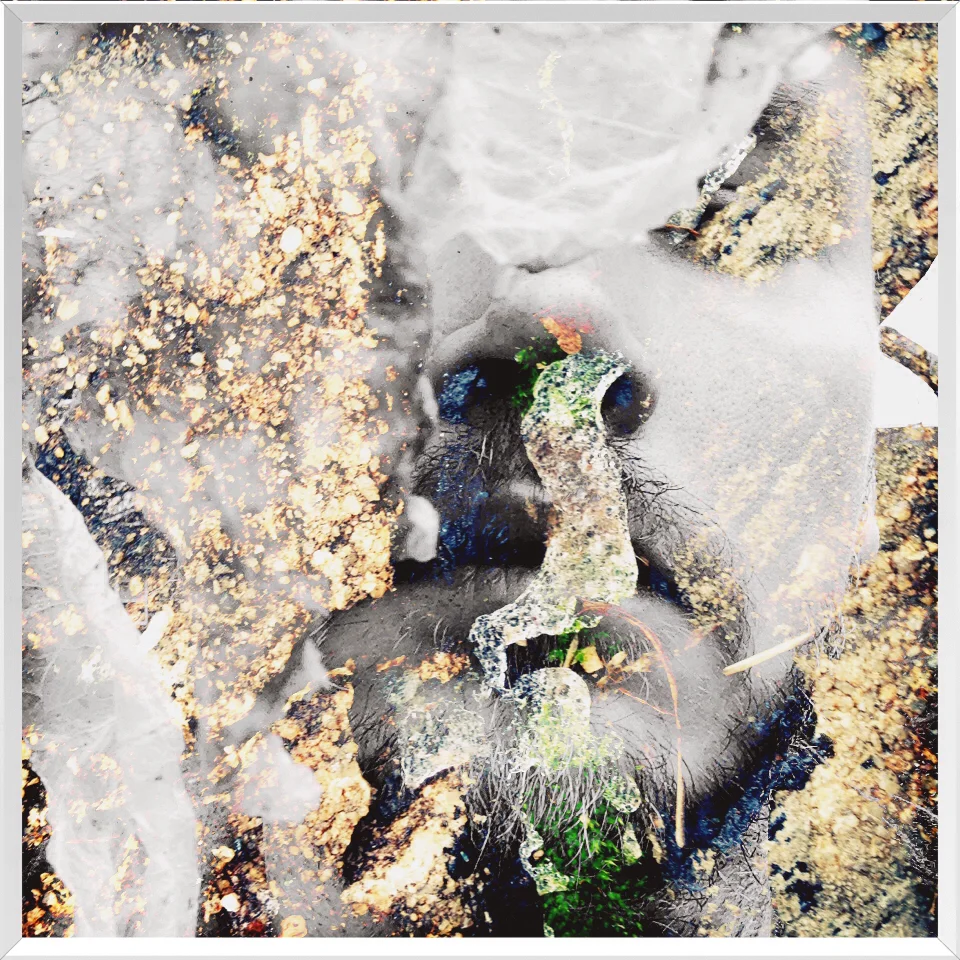 In the Last Remains of the Winter Weather