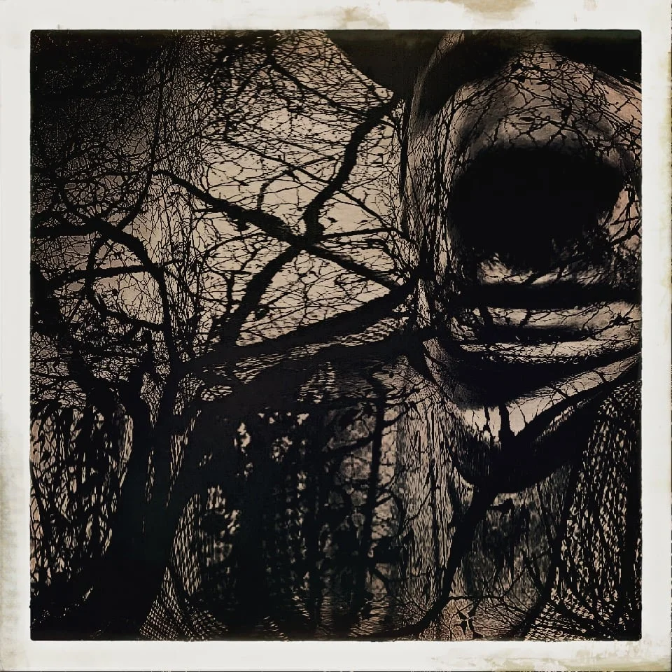 Paranoid Walk Through The Woods