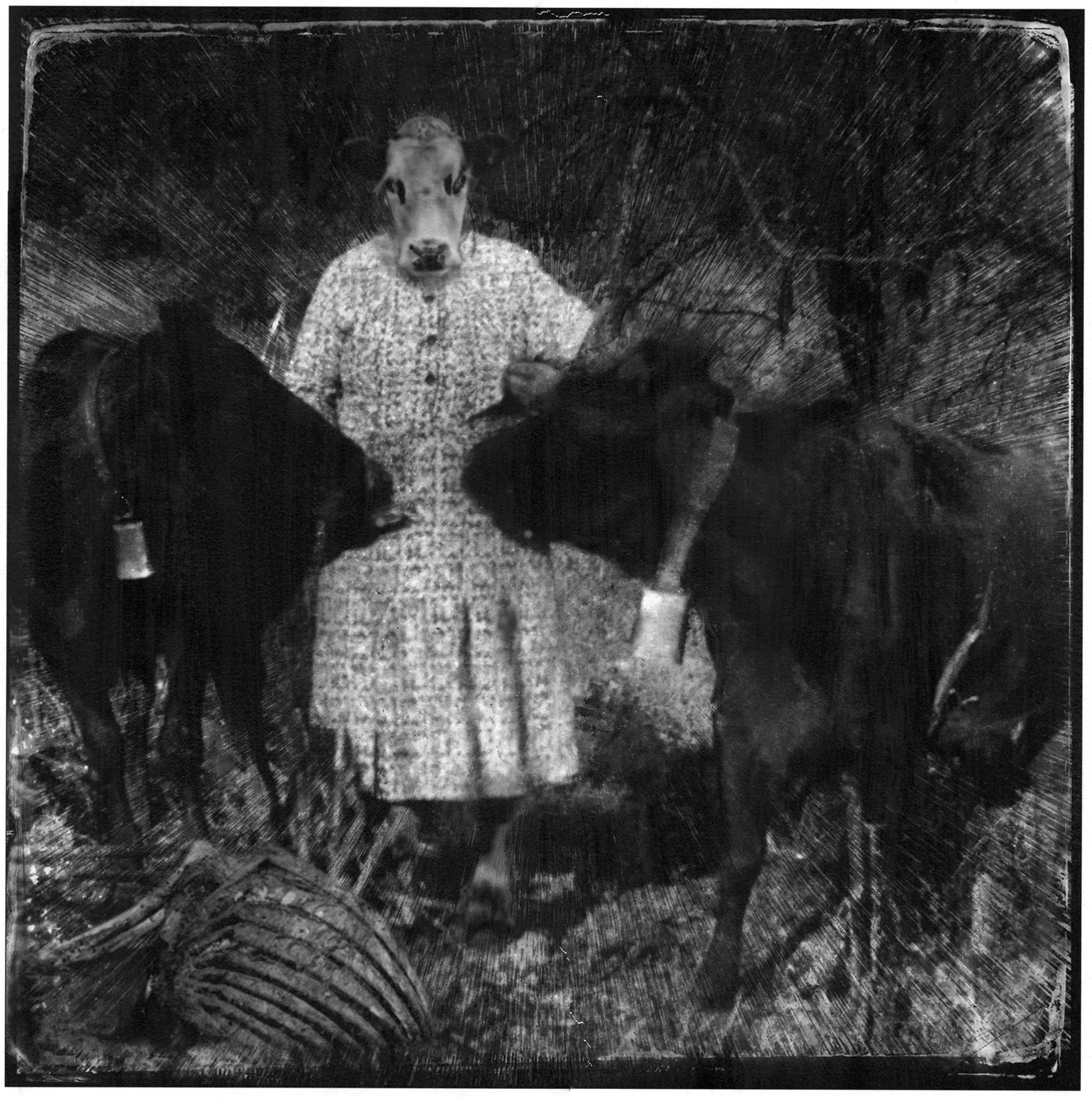 Witchcraft: Allegations And Misfortune, 2017