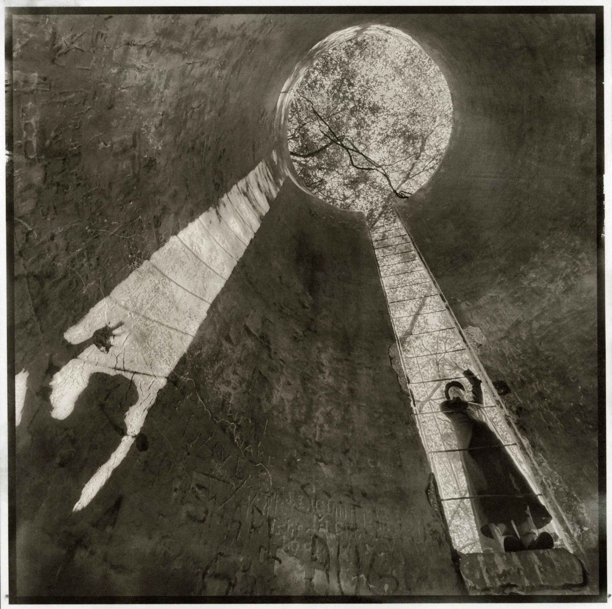 Noctra, Palladium Print, 2025