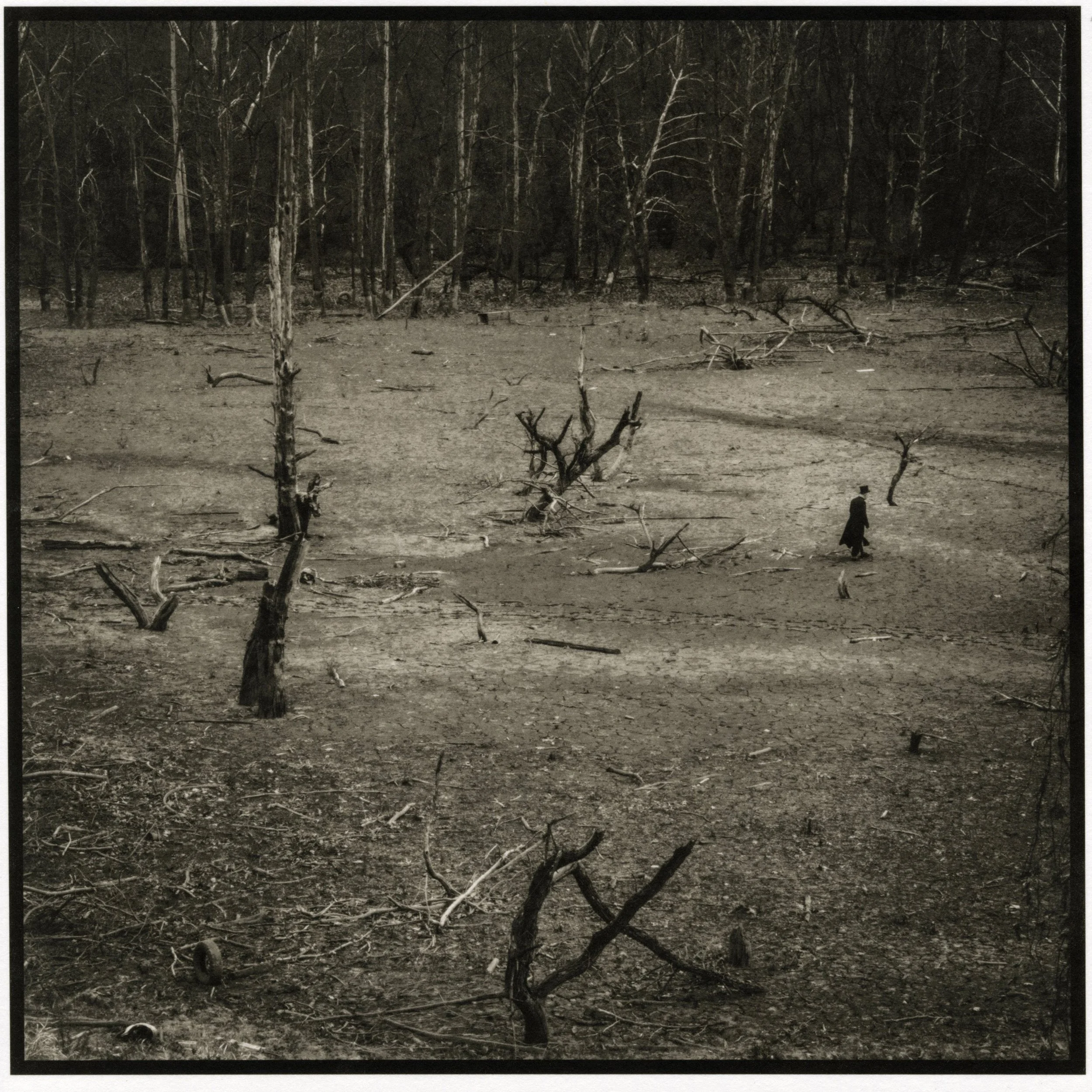 Insignificance, Palladium Print 2025