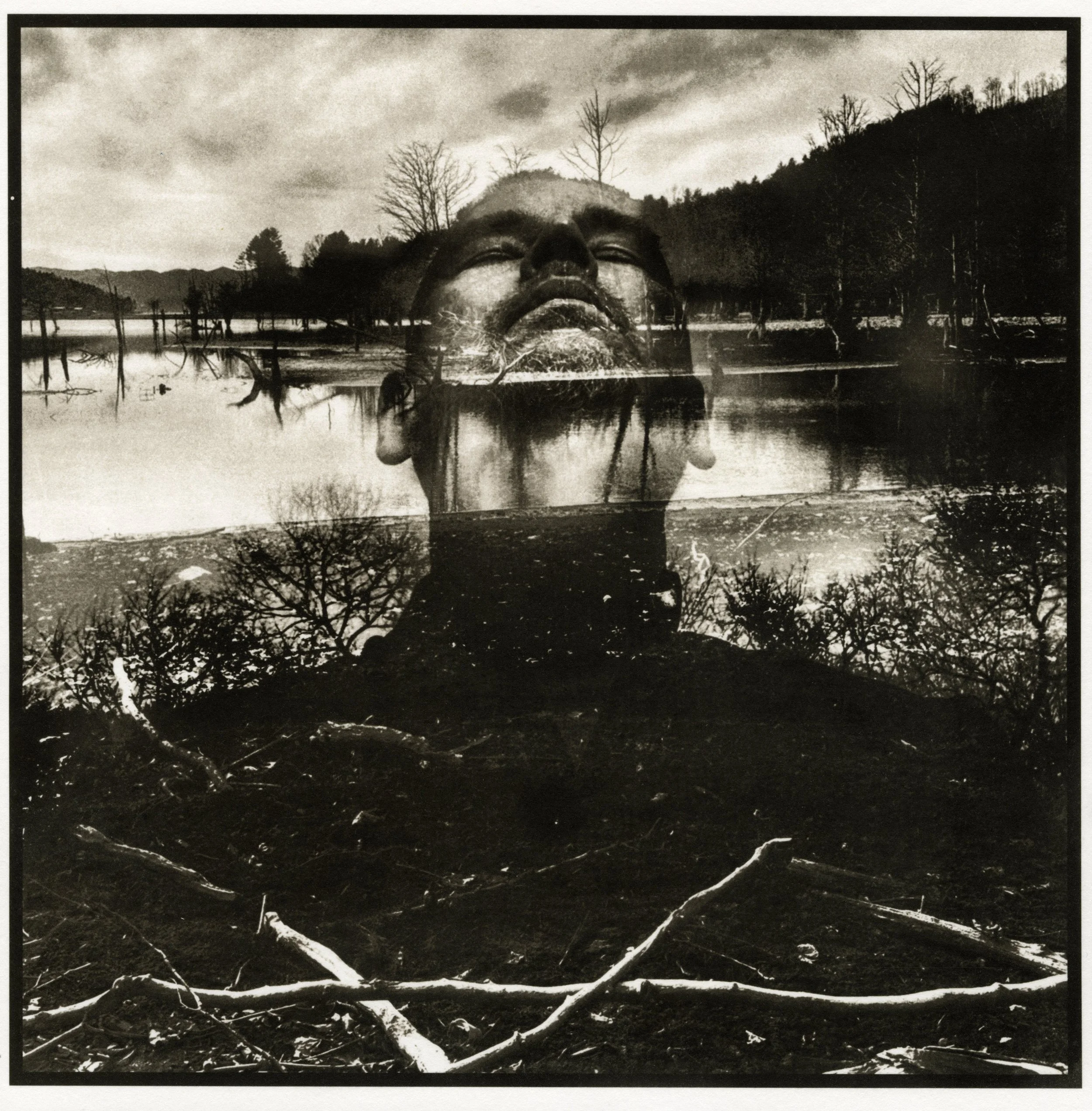 Emergence from the Soil (Copy)