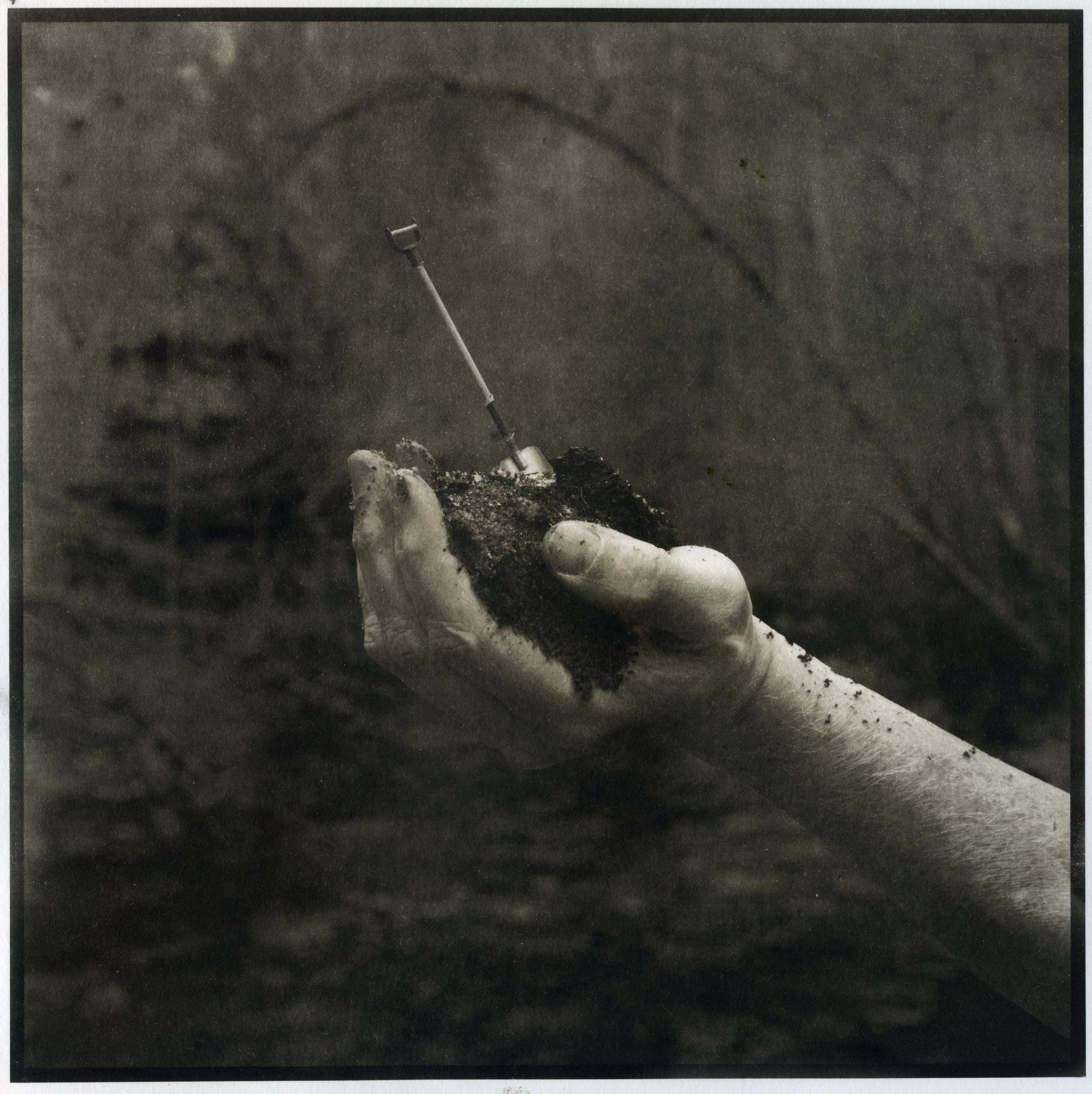 Digging Deeper in the Mountain Soil