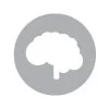 IMAGE_Brain-Icon_DarkGrey.jpg