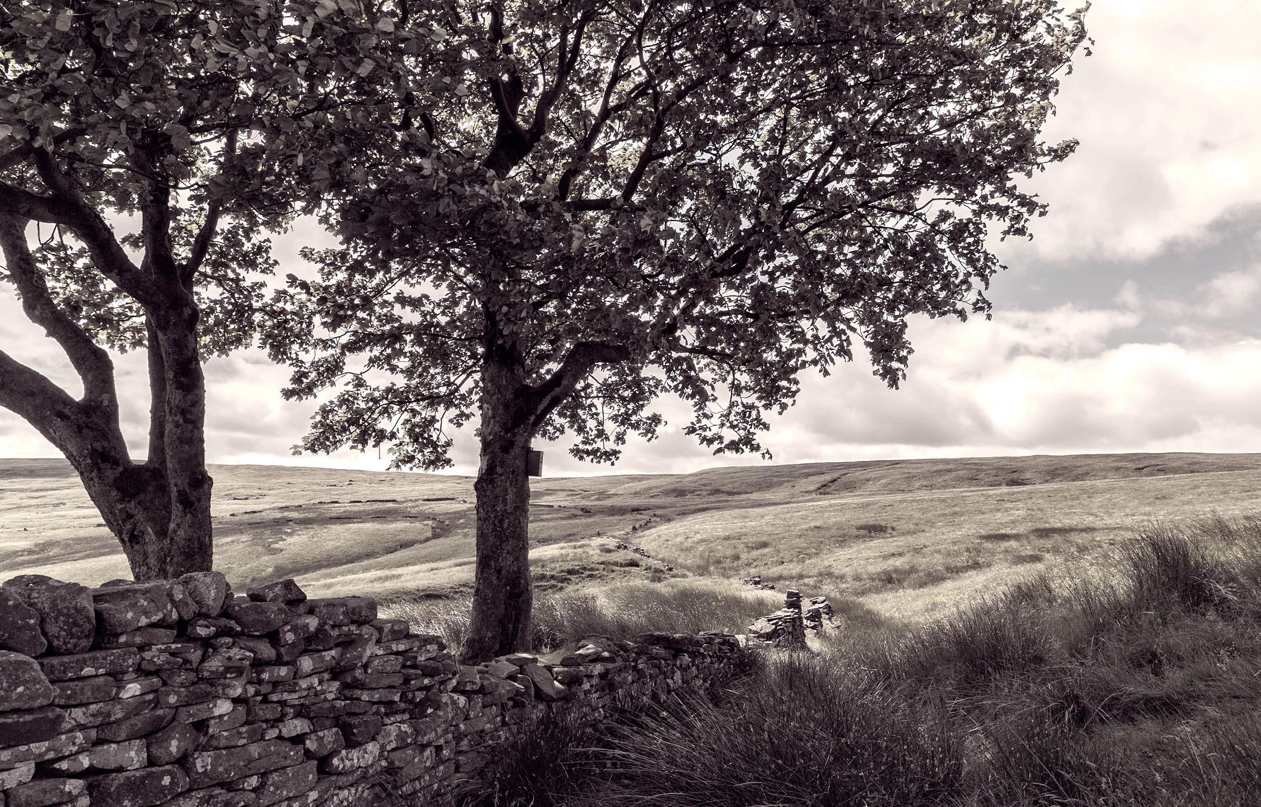 Pilgrimage and Parsonage