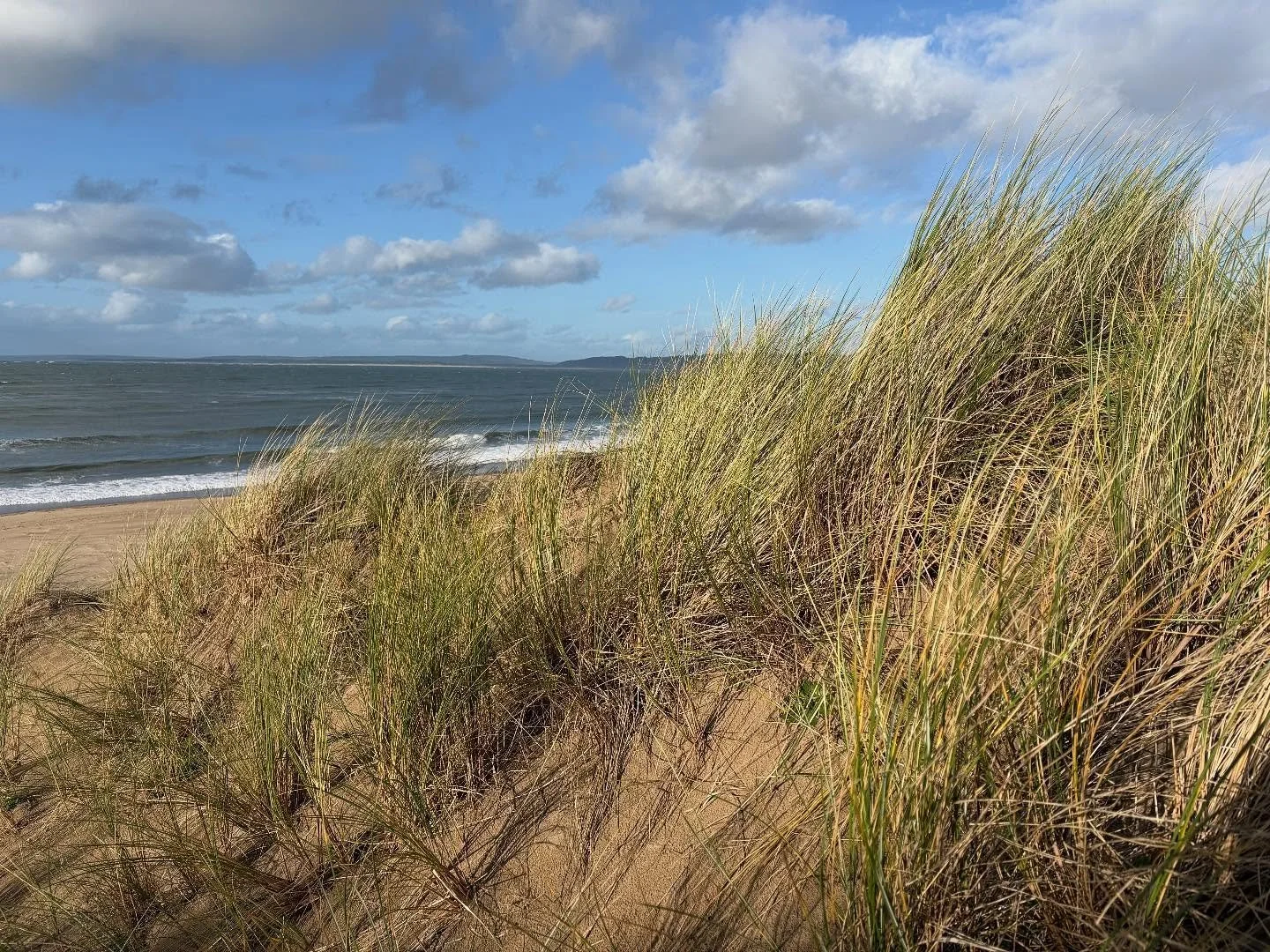 Bore da/good morning. A couple of pics of the light at Broughton Bay #Gower yesterday to start the week. Also to say Diolch to my husband Philip who has designed a new look and feel for my website. Importantly it&rsquo;s now up to date with latest ne