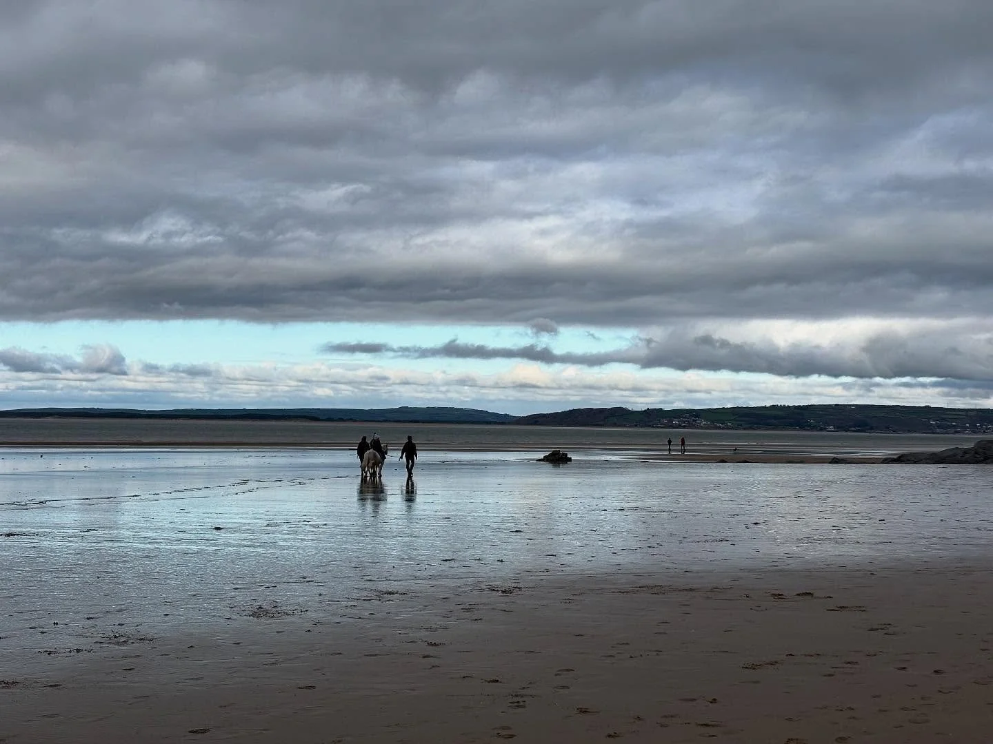 Horses in winter light. Yesterday #BroughtonBay #Llangennith #Gower #amwalking #amwriting
