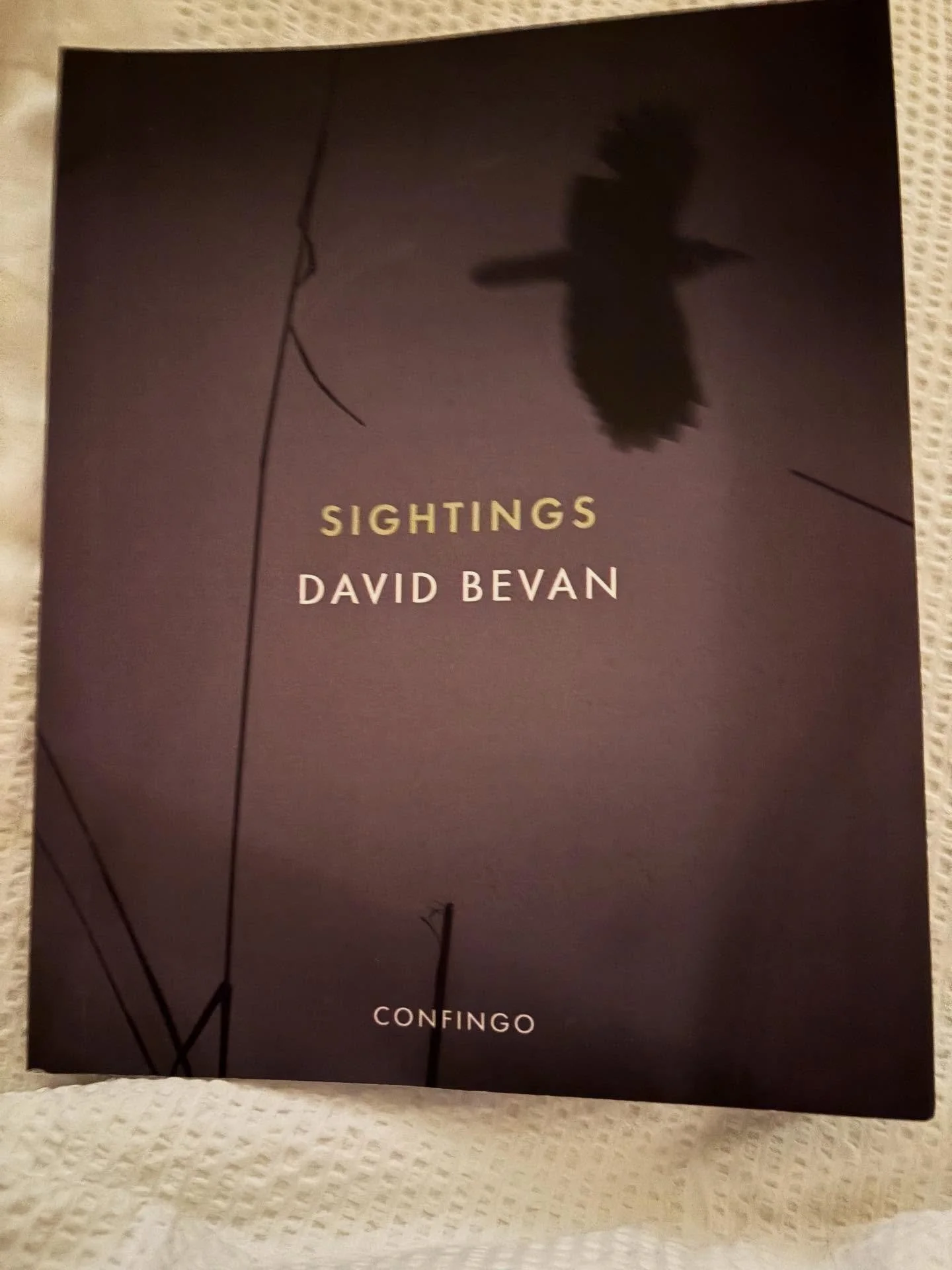 A thing of beauty! Just read #Sightings by @davidbevanwriter with imagery by @mayasharpphoto published by @confingopublishing. So enjoyed the honest prose, lovely descriptions of place, and the symbolism of birds and the memories they carry. Quiet, s
