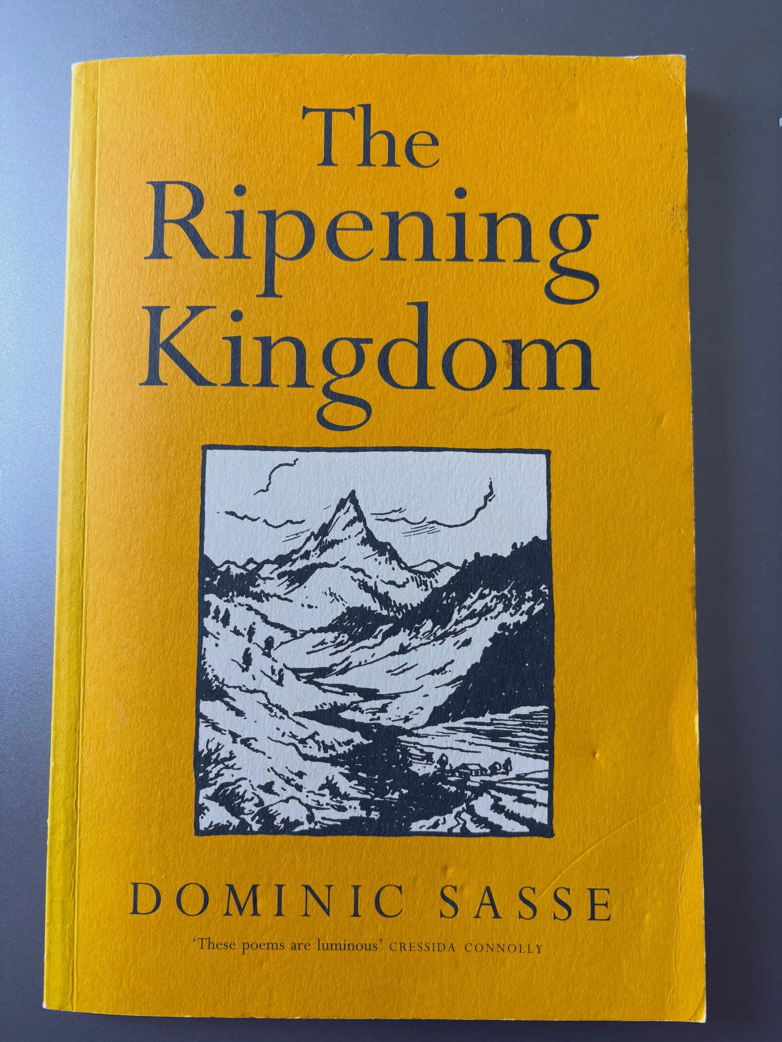 In search of words&hellip;For some reason I have recently spent hours scrolling on Instagram anything to do with #Annapurna #Nepal. Hard to think my little legs got me to base camp in 1999. And then lines from a poem came into my mind - from a collec