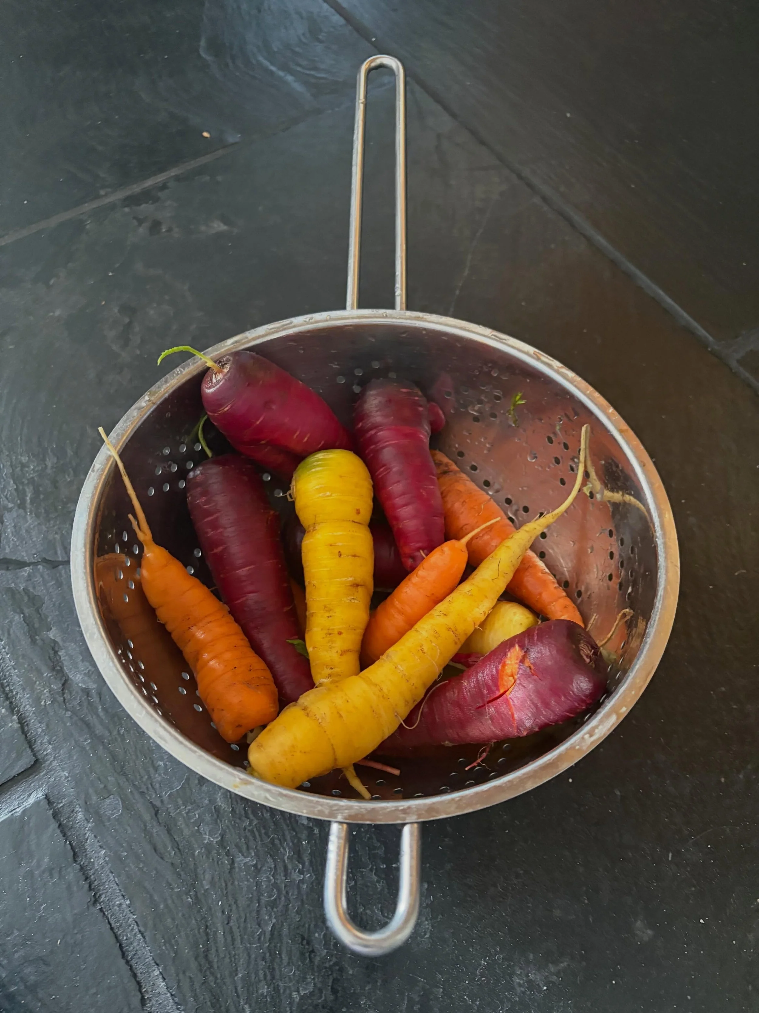 When all else fails &hellip; this! #carrots #vegpatch