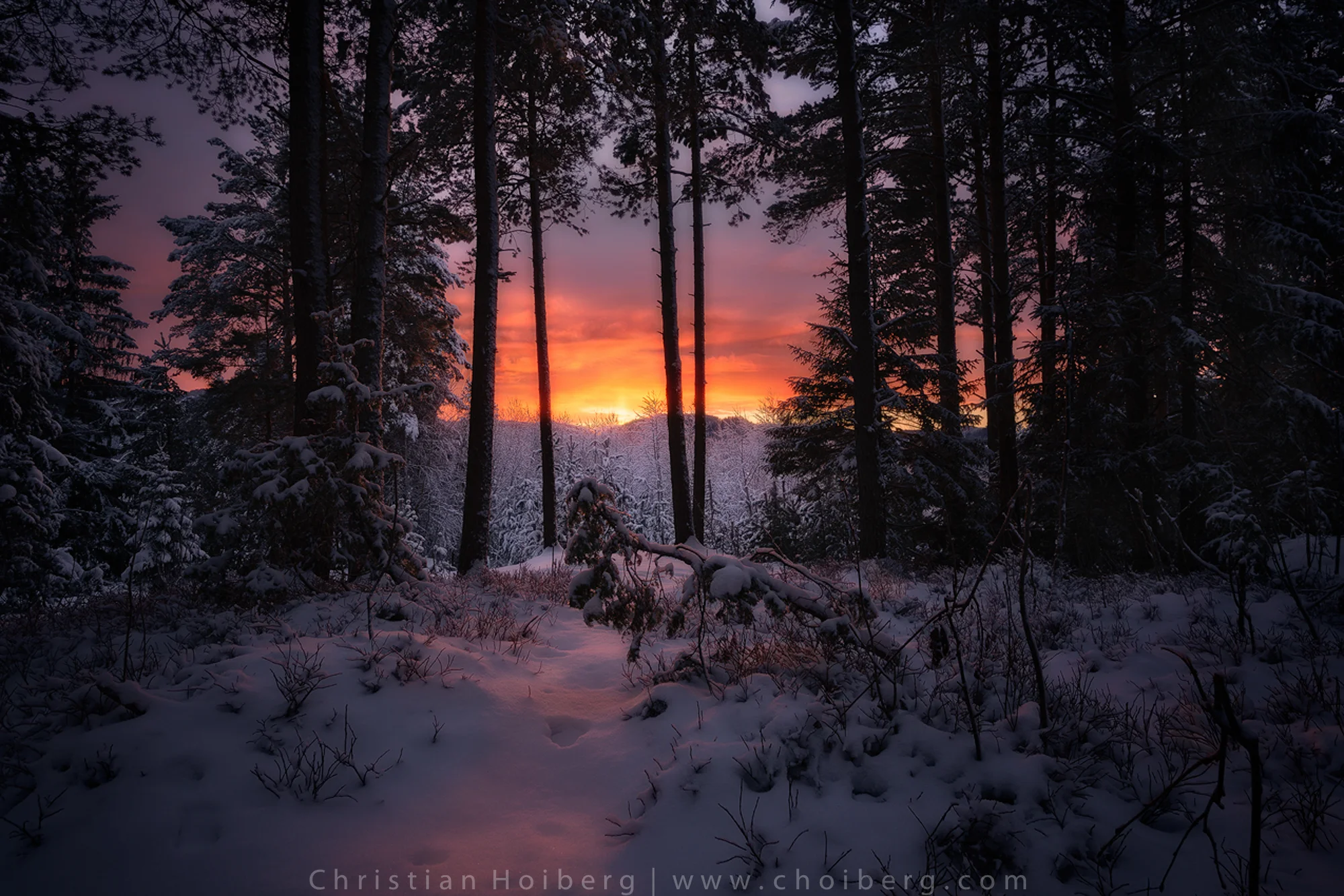 From Dawn to Dusk