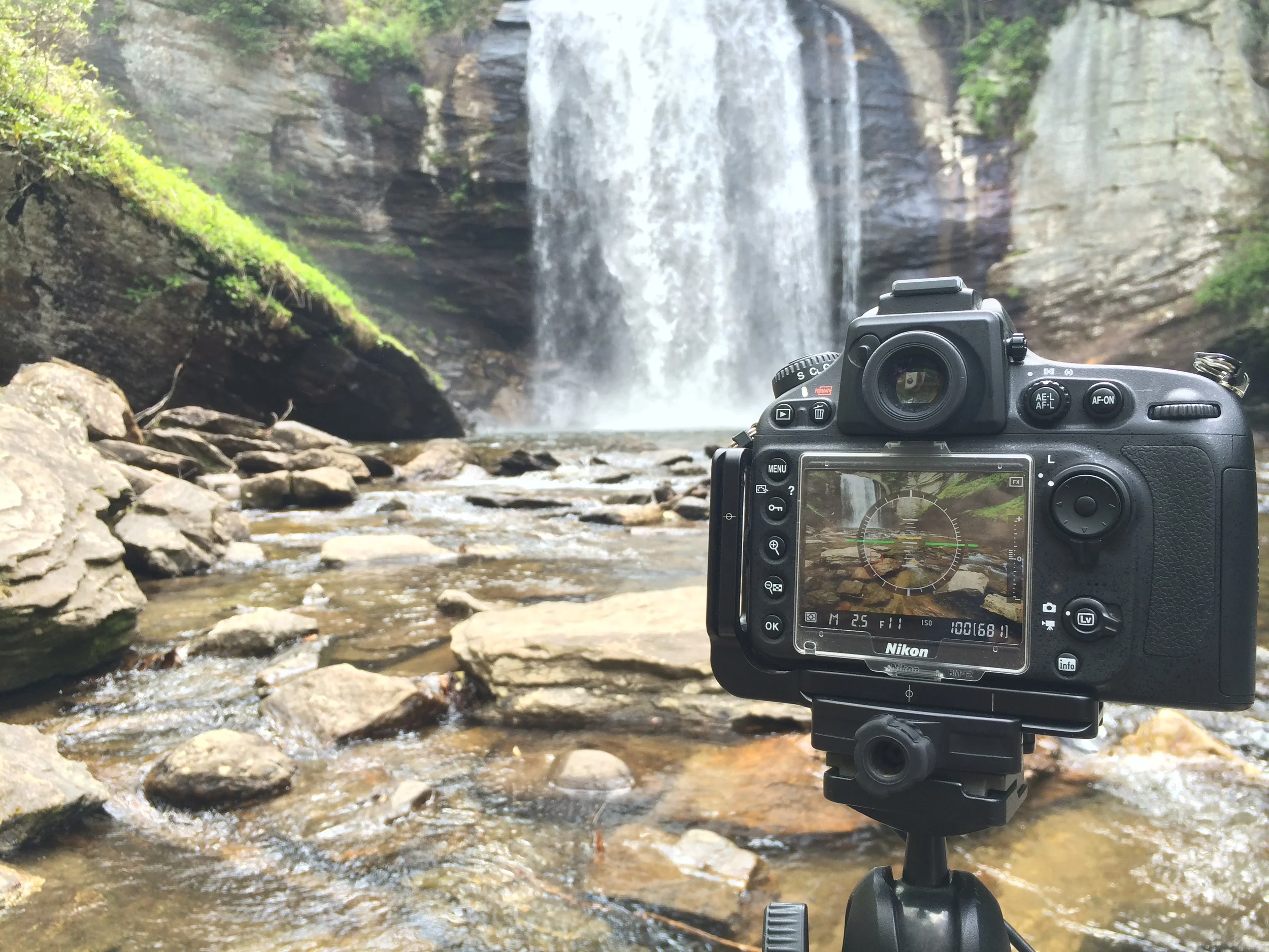 A Study of the South: First Impressions