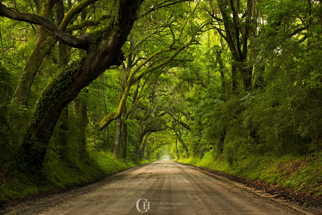 Botany Bay a treasure in South Carolina