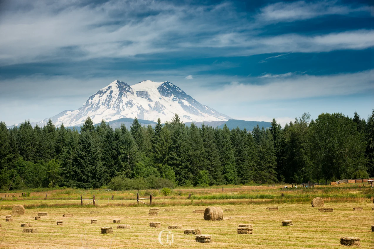 MtRainier-Below.jpg