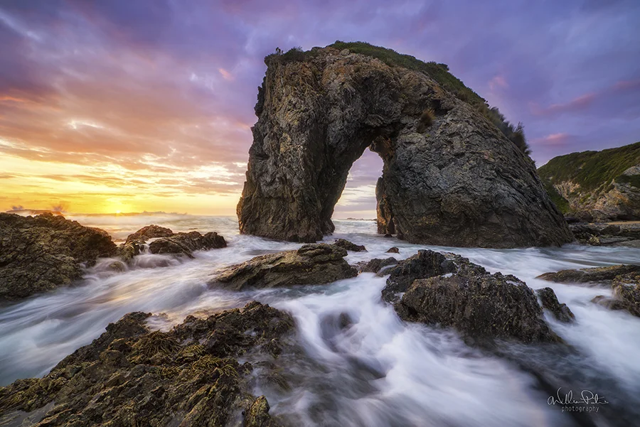Inspirational Photographer: Will Patino