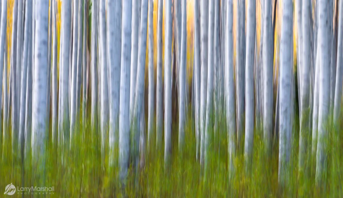 Inspirational Photographer: Larry Marshall