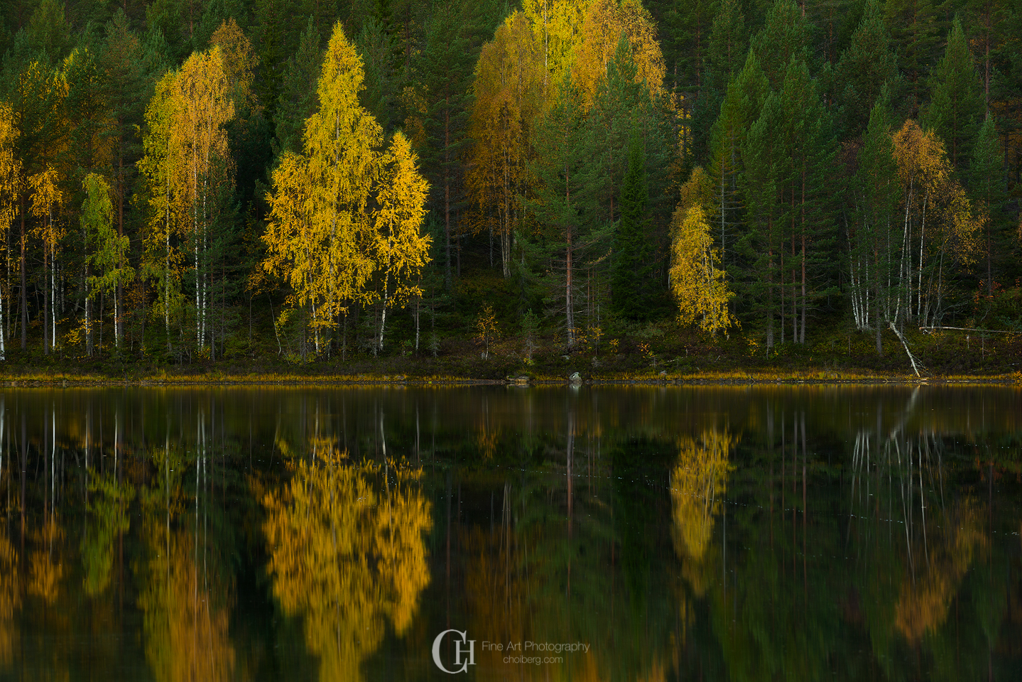 oksne-sunrise-fall.jpg