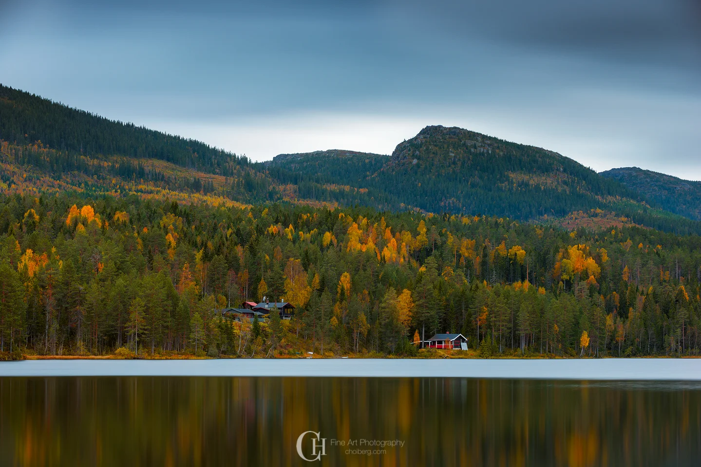 First Sight of Fall