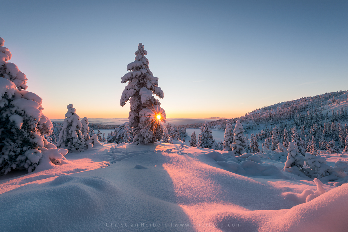 knuten-sunstar-sunrise.jpg