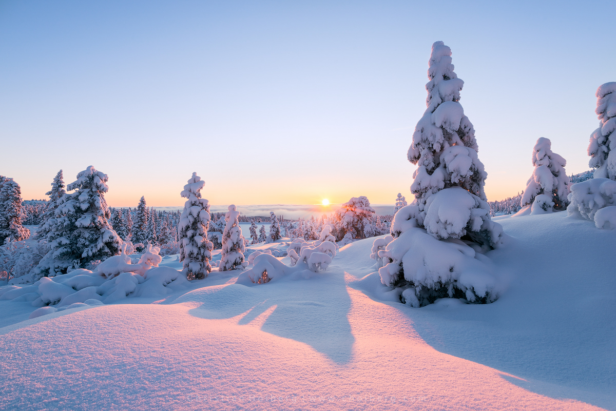 Knuten-sunrise-winter.jpg