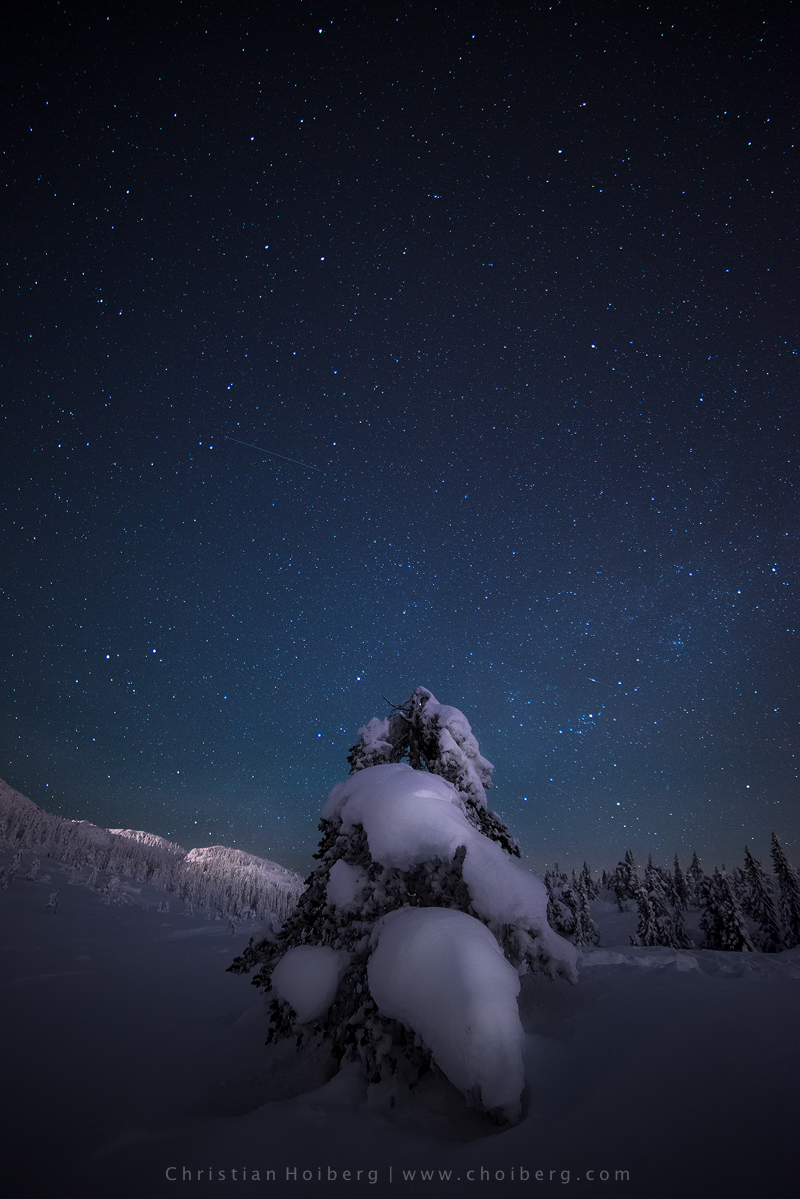 Knuten-Winter-Stars.jpg